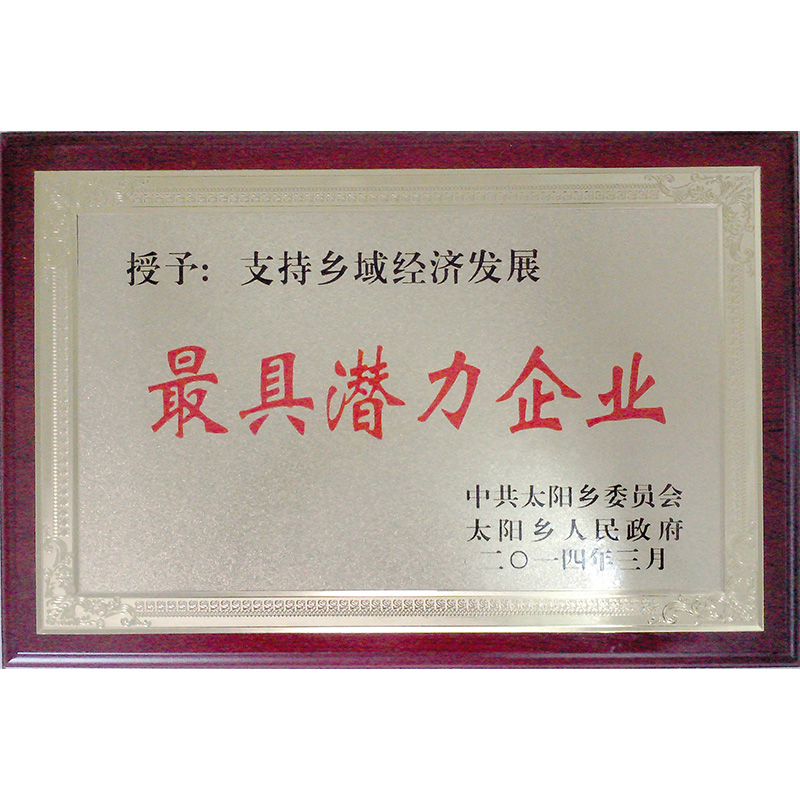 榮譽(yù)資質(zhì)