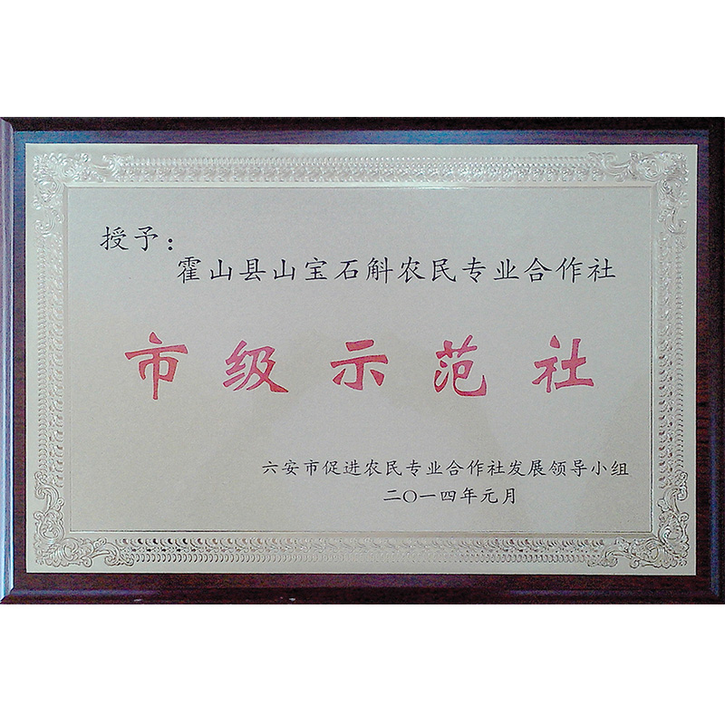 榮譽(yù)資質(zhì)